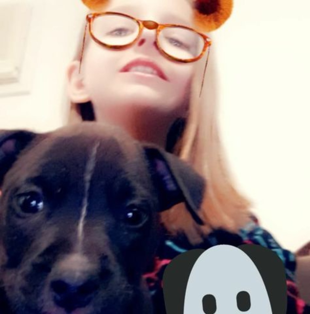 Meet your Posher, Bella